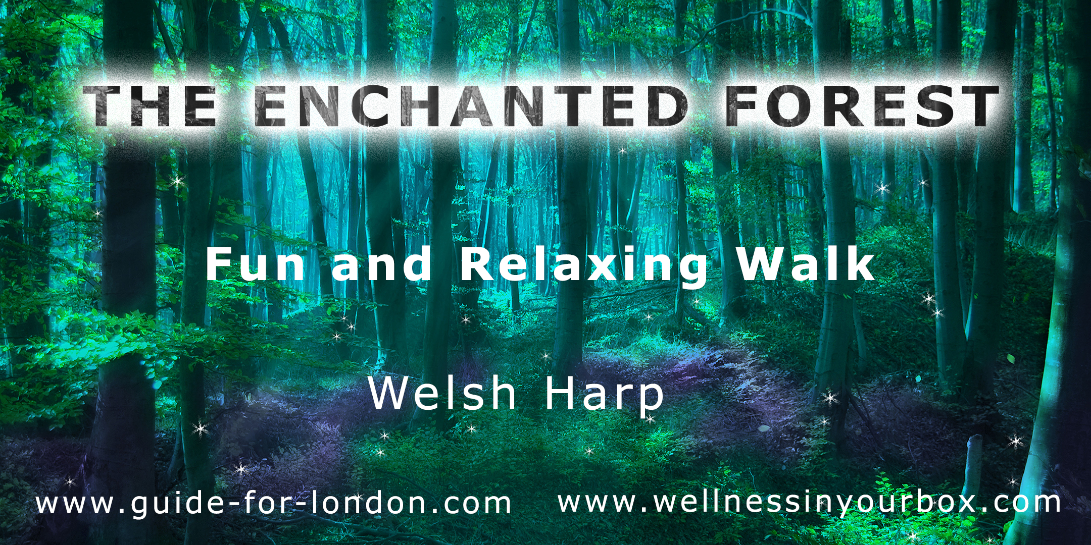 Enchanted Forest of Welsh Harp: fun and relaxing walk combining stories, arts, meditation and mindful movement.